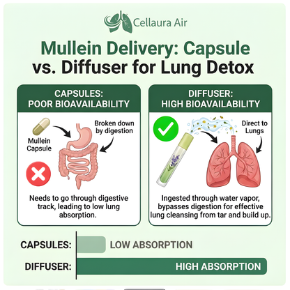 Cellaura Air Herbal Diffuser - Variety Pack